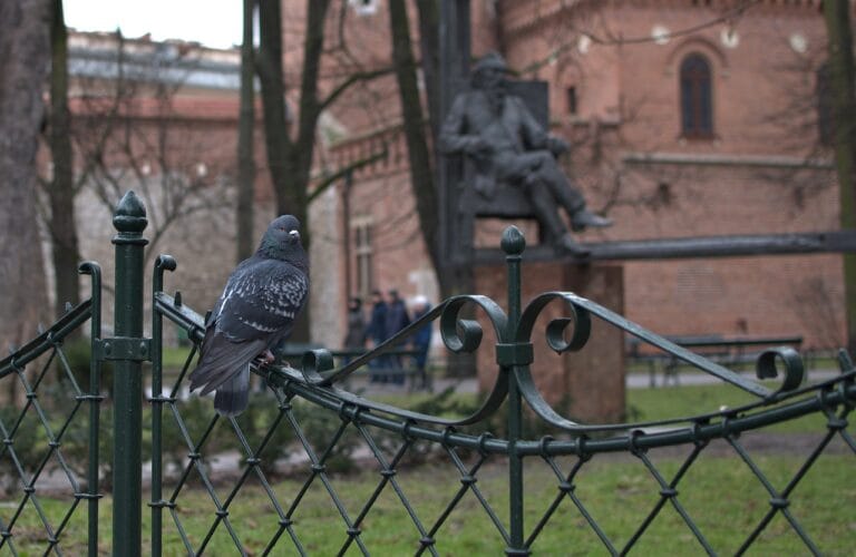 Susza 2015 i inne współczesne kryzysy klimatyczne w Polsce