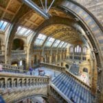 Kartki na żywność: System, który rządził kuchnią Polaków