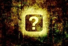 Jak wyglądała edukacja w czasach Jagiellonów?