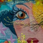 wal_172619-wall-mural-7162979_1280